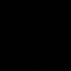 Meet your Posher, Corrin